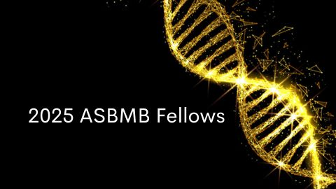 ASBMB names 2025 fellows