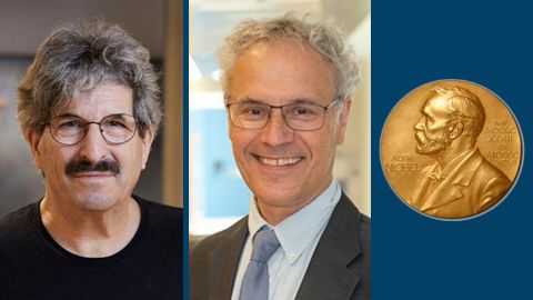 Nobel honors discovery of microRNAs